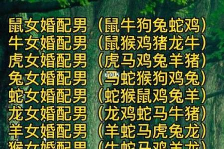 属虎和属羊的婚配好不好_属虎和属羊的婚配好不好生肖配对解析