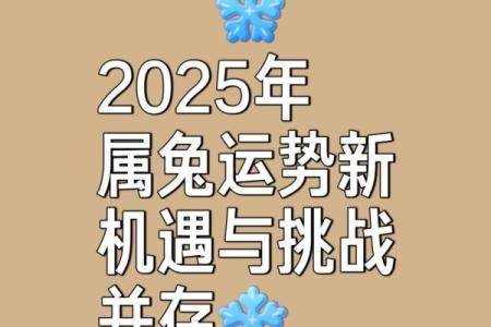 2025年属兔男1987年出生全年运势详解