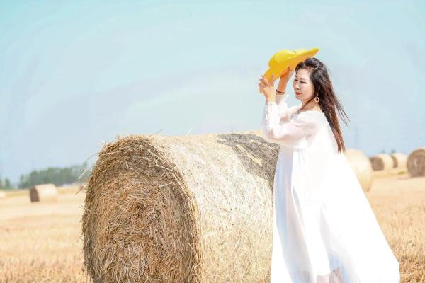 骄阳似火打一生肖(骄阳似火是什么肖打一肖个来)