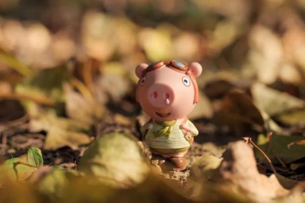 1983年属猪41岁有一道坎_83年的猪二婚在哪一年