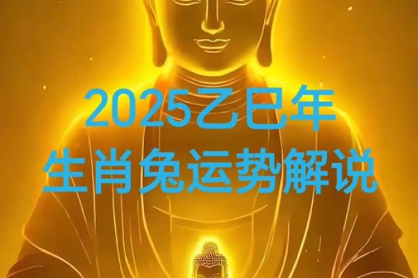 2025年兔人运势_2025年兔人运势解析财运事业爱情全预测