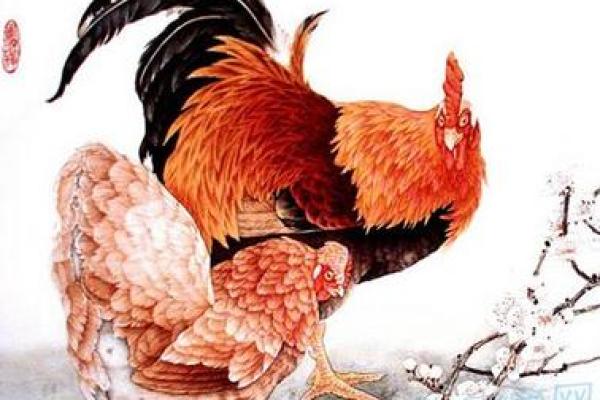 1981年属鸡2025年的每月运程_1993年属鸡的运势及运程