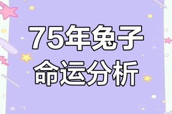 1975年属兔今年运程_1975年属兔2023年运程解析财运事业感情全攻略