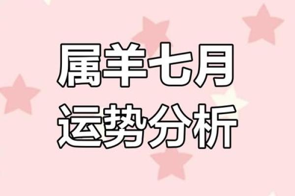 七九年属羊2025年运势解析财运事业感情全揭秘