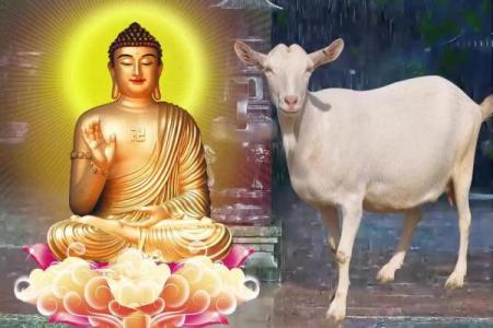 1967年羊女2025年运气怎么样_67年属羊58岁命中注定2025