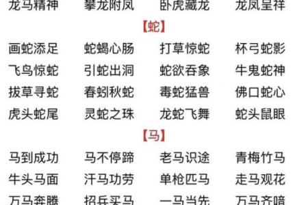 四目相对指什么生肖(四目相对是成语吗)
