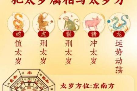 声东击西巧计策什么生肖(声东击西巧计策打一肖)