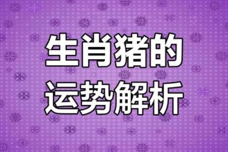 属猪的2025年_属猪的2025年幸运色是什么颜色