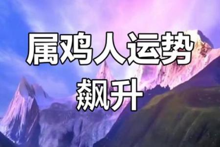81年属鸡人今日财运解析财运走势与提升秘诀