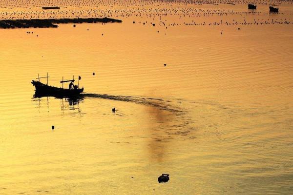沧海桑田是什么生肖(沧海桑田是什么生肖打一种动物)