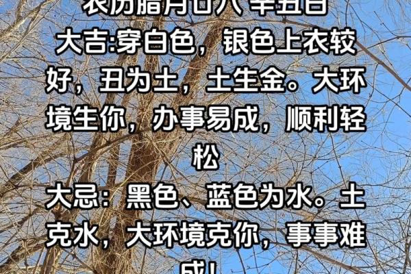 2025年3月7日每日五行穿衣