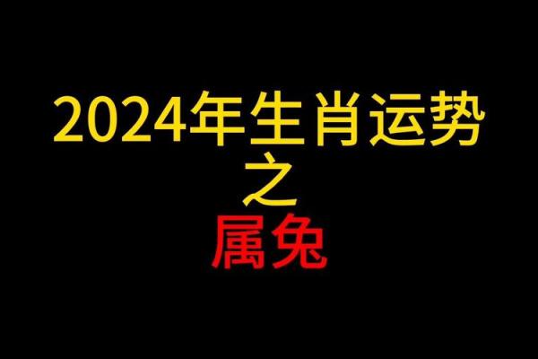 2025年属兔幸运色揭秘助你运势飙升的绝佳选择