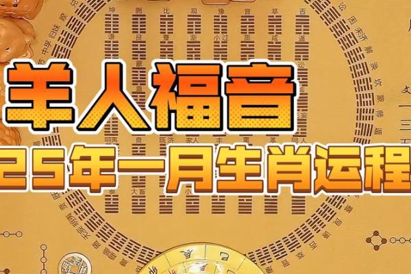 2025年55年属羊人运势解析机遇与挑战并存