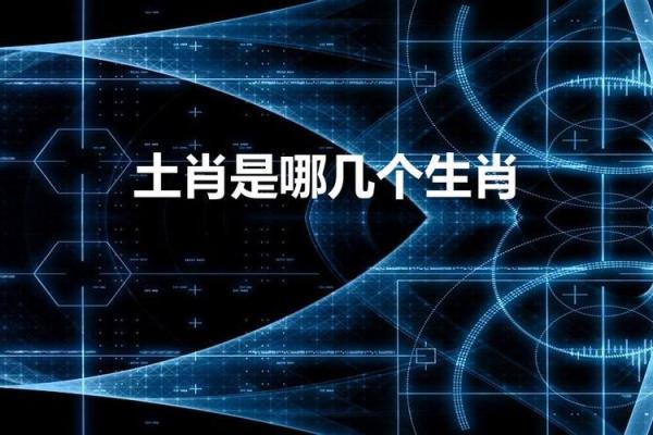 凹凸不平是什么生肖(凹凸不平整的生肖)