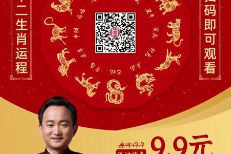 铁石心肠是指什么生肖(铁石心肠是指什么生肖金禾网)