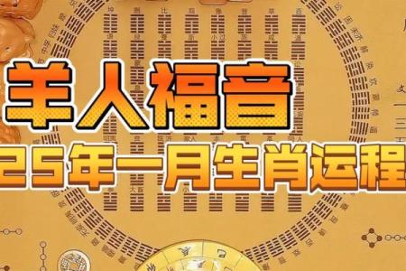 2025年55年属羊人运势解析机遇与挑战并存