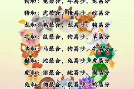 属猪男和属牛女婚姻相配吗解析生肖配对幸福指数