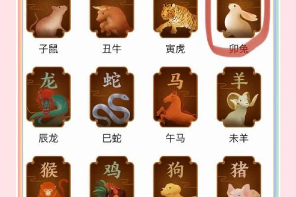 1963年的兔男在2025年的运势 2025年运势解析1963年兔男命运大揭秘