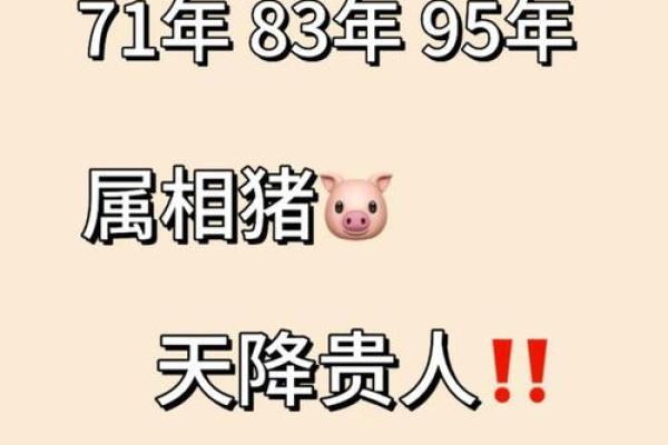 2025年属猪的人今年多大年龄计算与运势解析