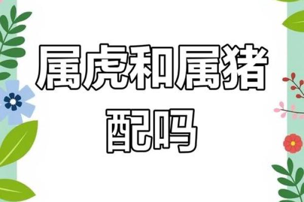 属猪和属虎的姻缘解析配对指数与婚姻运势