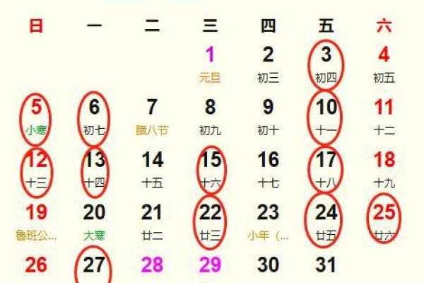 2025结婚最好六个日子(2025结婚最好六个日子晋江文学城)