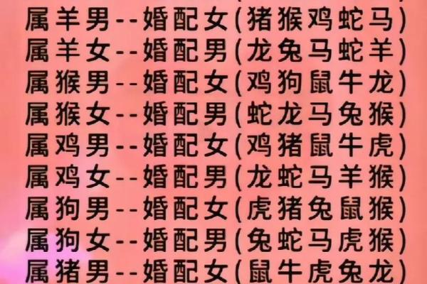 71属猪最佳婚配_71年属猪最佳婚配指南生肖配对与幸福婚姻秘诀