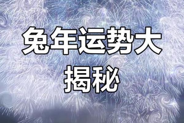 1975属兔2025年运势详解财运事业感情全解析
