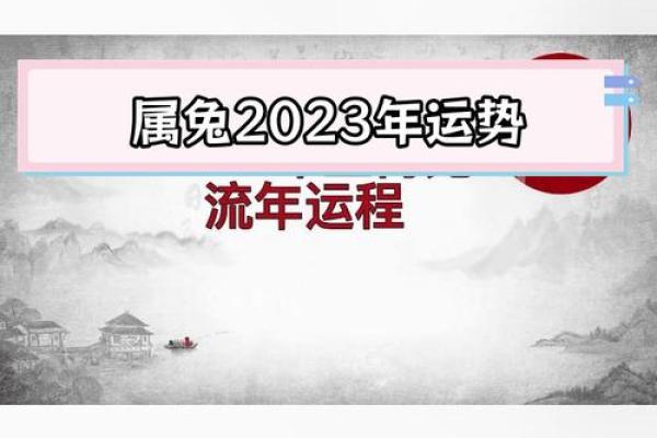 2025年属兔的运势 2025年属兔运势详解财运事业感情全面解析