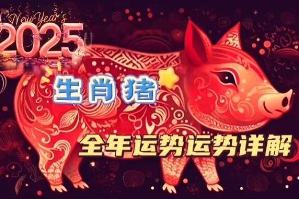 2025年属猪1995全年运势_2025属猪人1995的全年运势如何