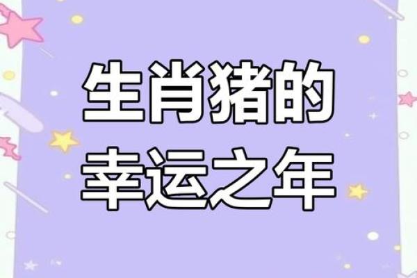 71属猪2025年有大喜缠身_71年属猪男晚年凄惨婚姻