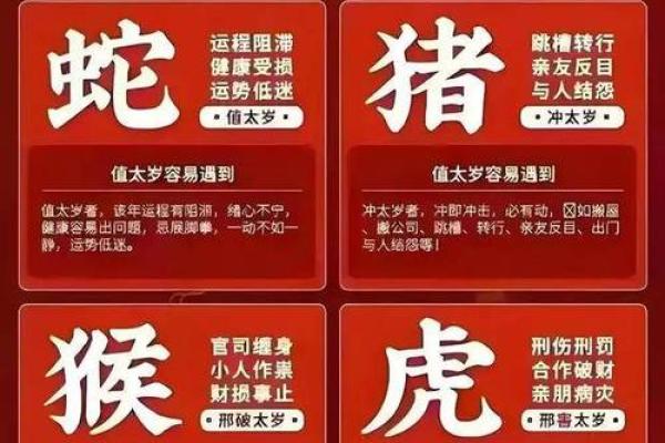 2025年属兔的多大 2025年属兔人年龄解析你今年多大