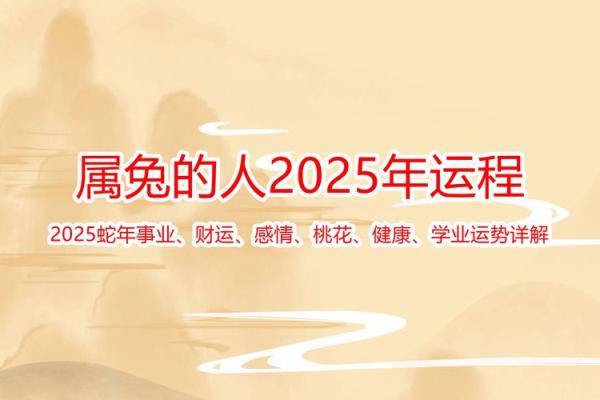 2025年属兔的幸运颜色 2025年属兔幸运颜色揭秘助你运势飙升的秘诀