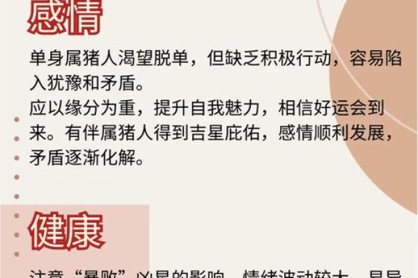 1995猪2025年运势 1995年属猪人2025年运势详解财运事业感情全解析