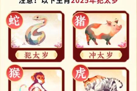 熟人熟事打一生肖(熟人熟事是什么生肖)