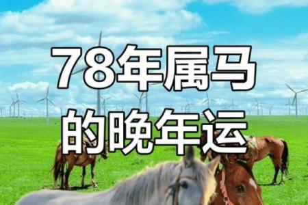 1978年属马人2015年运程详解运势解析与吉凶预测