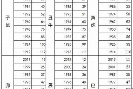 91年属羊多大了_91年属羊今年多大2023年年龄计算与运势解析