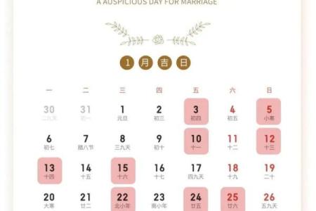 95属猪哪一年结婚最好 95属猪最佳结婚年份解析哪一年最适合步入婚姻