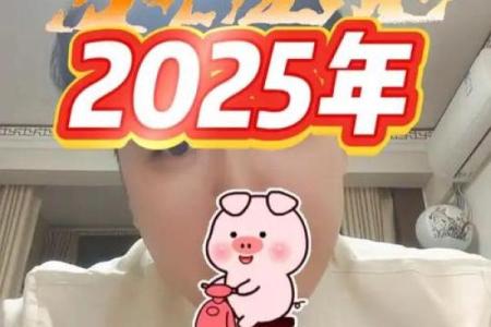 2025年属猪人年龄详解你几岁了