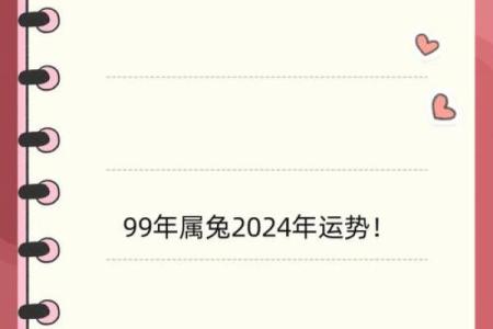 24年属兔人的全年运势_2024年属兔人全年运势详解财运事业爱情全面解析