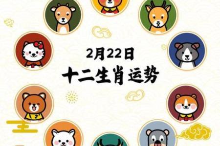 1980年2月14日出生属羊还是属猴生肖解析