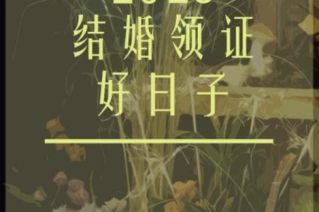 2025上等嫁娶吉日一览表图片大全(2025上等嫁娶吉日一览表图片大全)