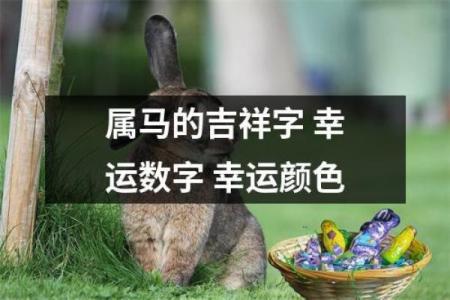 属马2025年幸运数字 2025年属马人幸运数字揭秘助你财运事业运势亨通