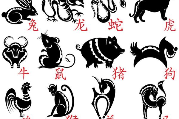 聚精会神是什么生肖(聚精会神是什么生肖15天)