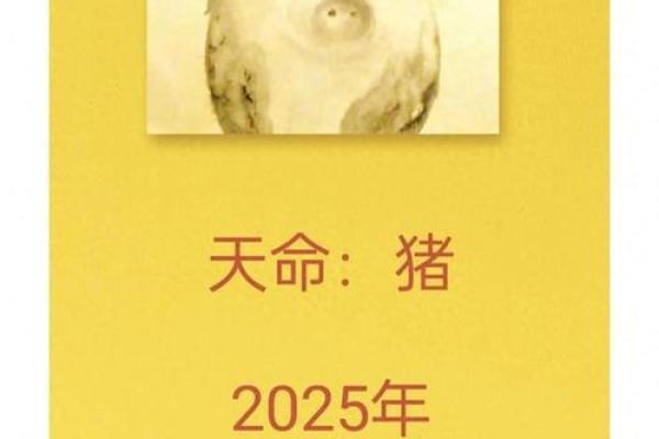 2025生肖猪1983 2025年生肖猪运势解析1983年出生者必看