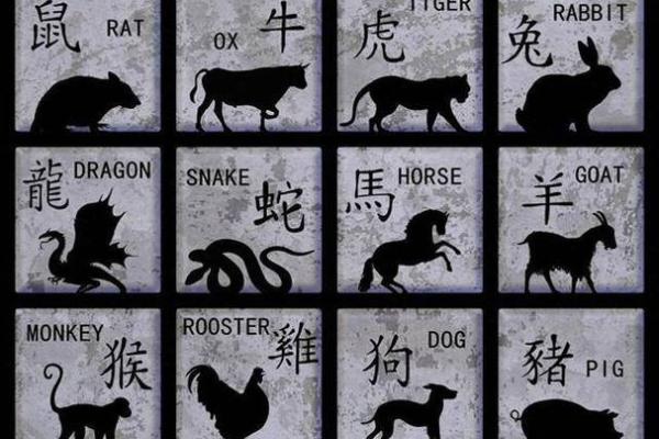 天下美景指什么生肖(天下美景指什么生肖正确答案)