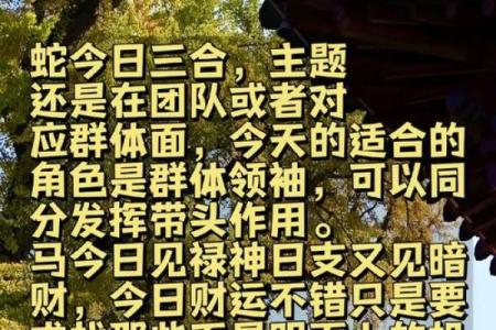 1979年属马2025年运势及运程详解_1979年属马人2025年运势解析及全年运程完整指南
