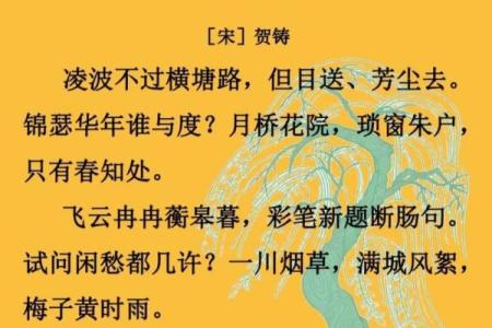 风波亭里满江红是什么生肖(风波亭里满江红是什么生肖1)