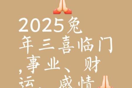 2025年属兔多大了_2025年属兔多少岁