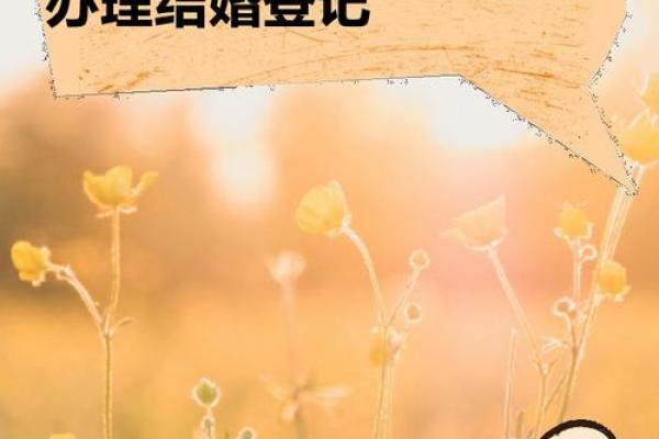 2024年结婚最好的日子(2024年结婚最好的日子国庆是哪一天)