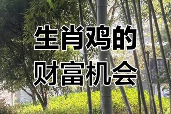 属鸡今日财运与运势解析好运连连还是挑战重重